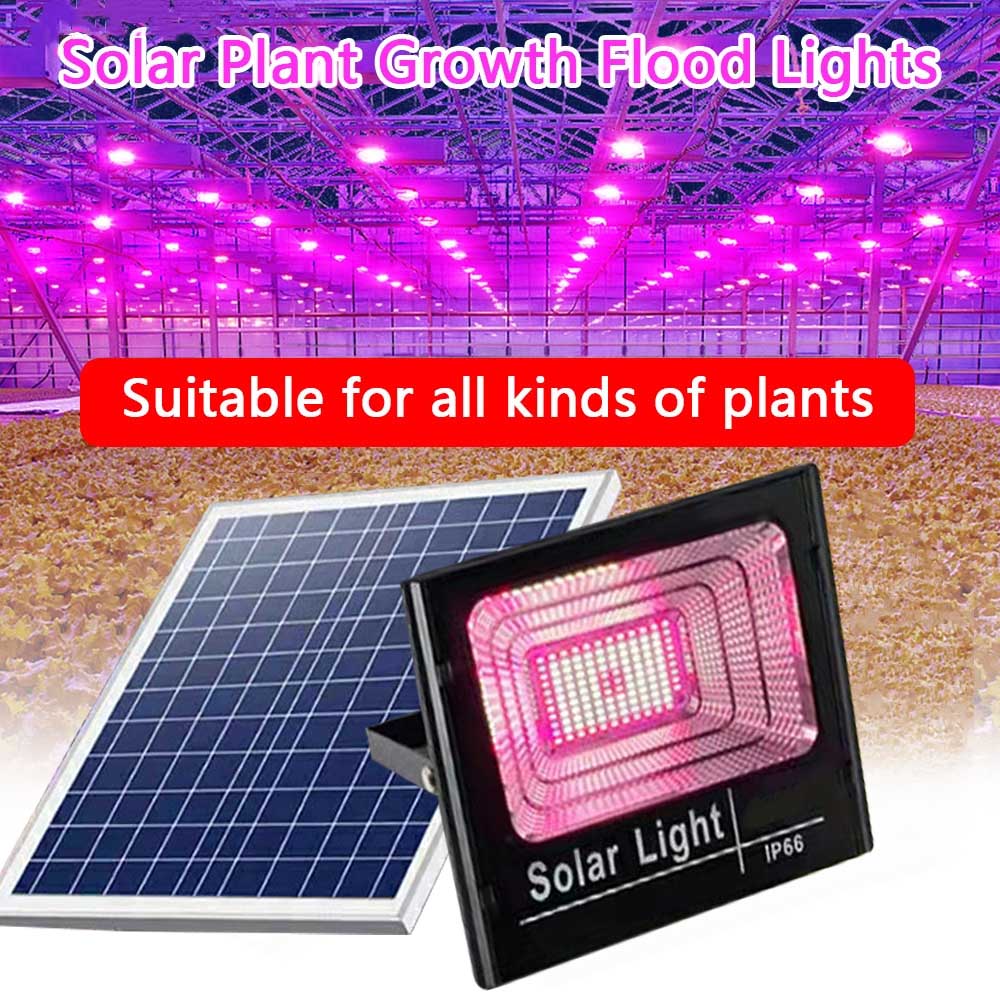 Solar Led Grow Light Full Spec - Outdoor Power And Plant recensie en prijs