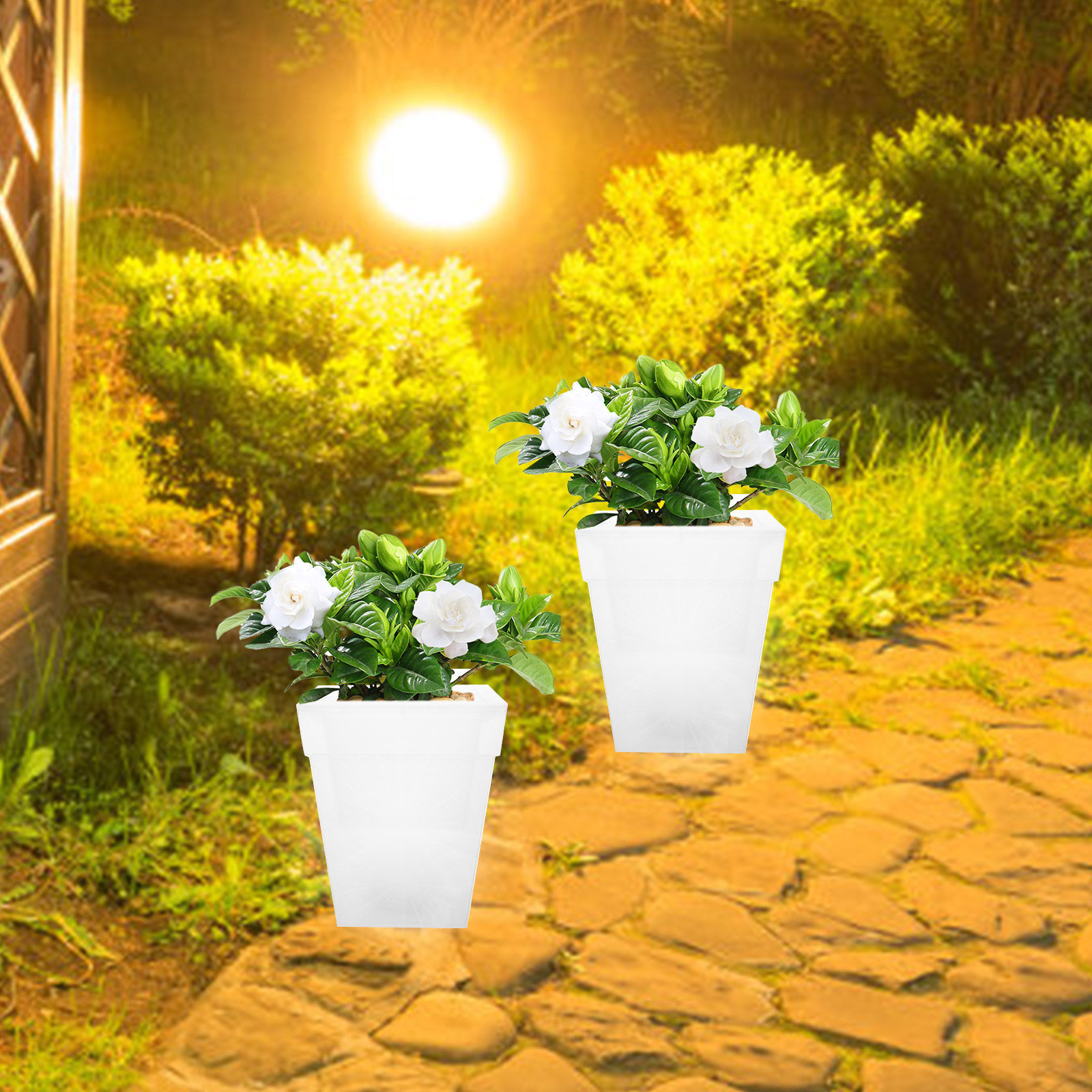 Plastic vierkante bloempotlamp - Outdoor Power And Plant recensie en prijs