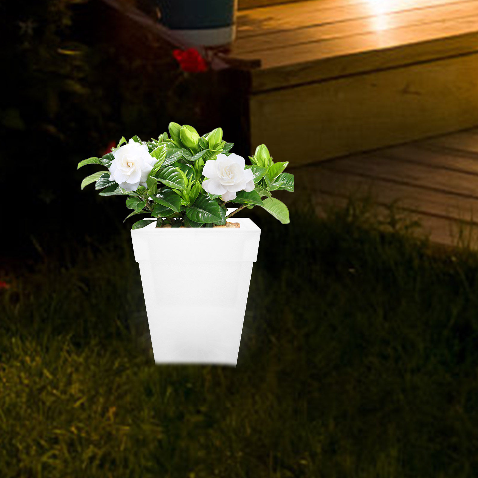 Plastic vierkante bloempotlamp - Outdoor Power And Plant recensie en prijs